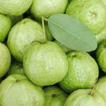 Guava - 1 Kg