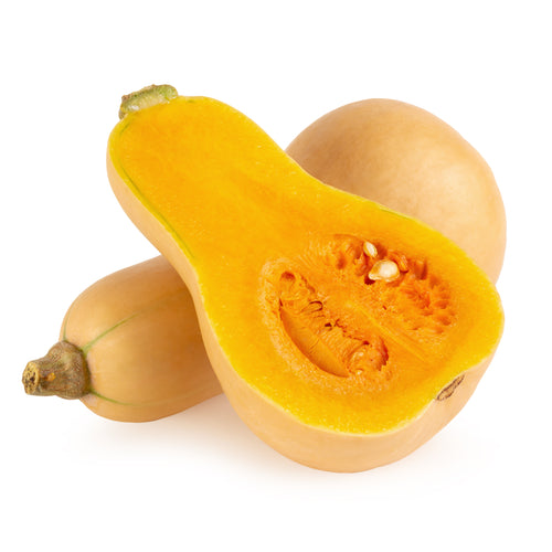 Butternut Squash